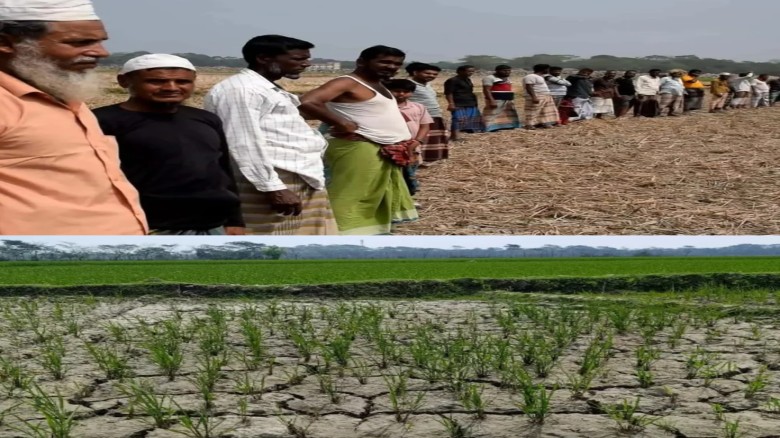 তালতলীতে সরকারি খাল খননে বাধা: বিপাকে কৃষকেরা