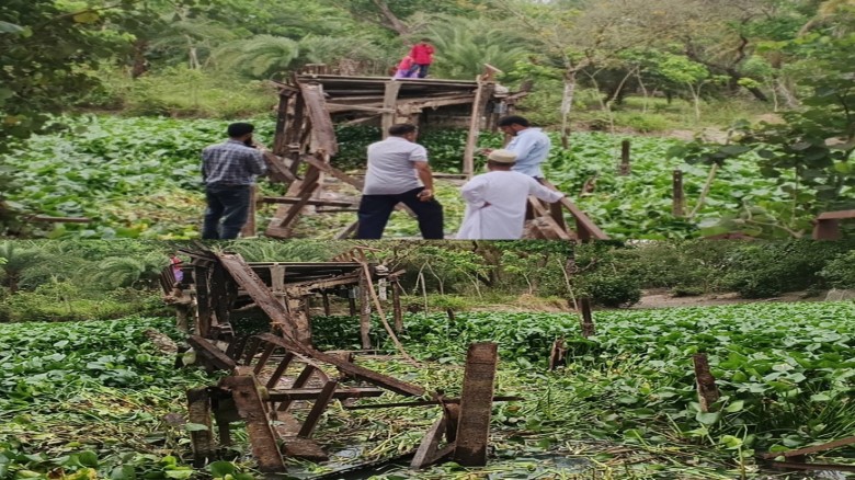 তালতলীতে ‘সোনার ব্রিজ’ ধস: মোটরসাইকেলসহ খালে পড়ে আহত ২