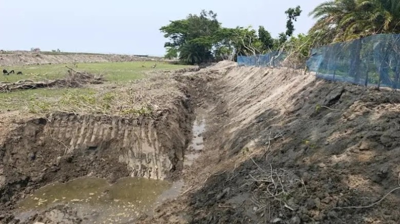 তালতলীতে পানি উন্নয়ন বোর্ডের জমি দখল করে মাছের ঘের নির্মাণে