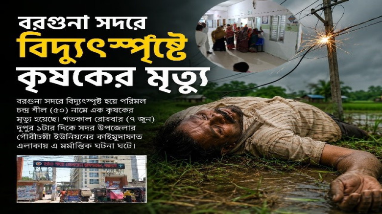 বরগুনায় বিদ্যুৎস্পৃষ্টে এক কৃষকের মৃত্যু:
