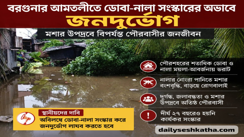 বরগুনার আমতলীতে ডোবা-নালা সংস্কারের অভাবে জনদুর্ভোগ: মশার উপ
