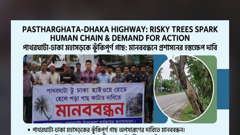 পাথরঘাটা-ঢাকা মহাসড়কে ঝুঁকিপূর্ণ গাছ কাটার দাবিতে মানববন্ধন