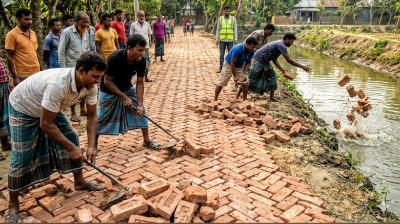 শুরু হয়েছে শীতের মৌসুম, শীতের ফুলে রঙিন প্রকৃতি