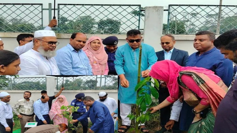বরগুনায় জাতীয় বৃক্ষরোপণ কর্মসূচির উদ্বোধন: ৫ বছরে ২৫ কোটি বৃ