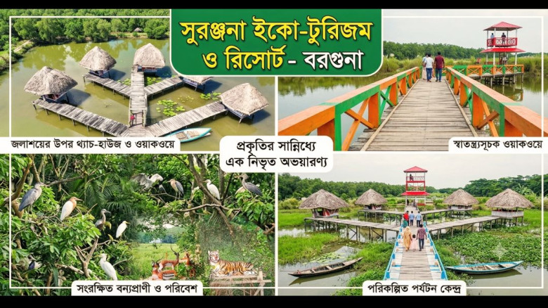 বরগুনায় পর্যটন শিল্পের নতুন দিগন্ত: ব্যক্তি উদ্যোগে গড়ে ওঠা 