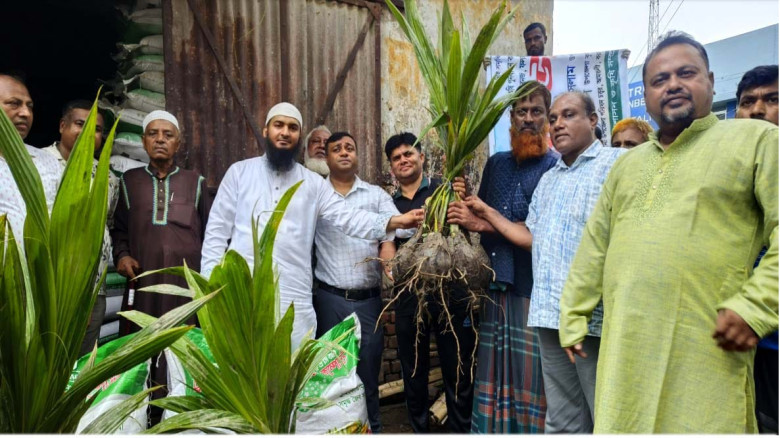আমতলীতে ৬ হাজার ৬৭০ কৃষকের মাঝে গাছের চারা ও সার বিতরণ
