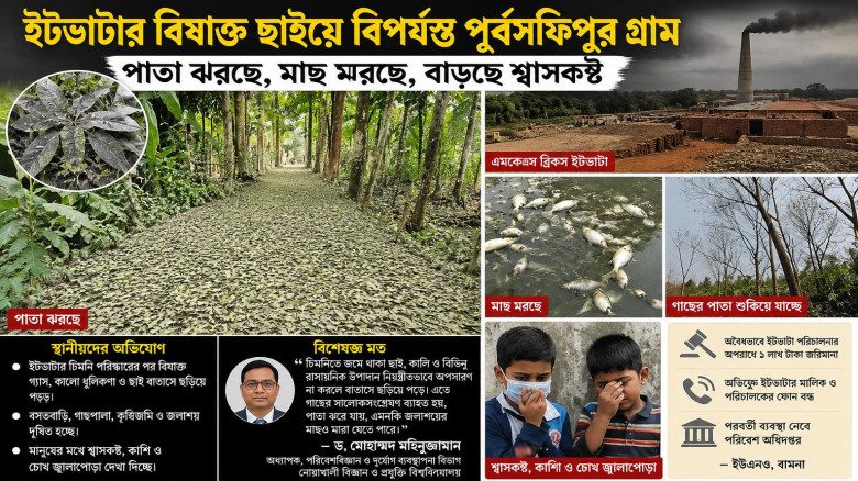 বামনায় ইটভাটার চিমনিতে গাছের পাতা ঝরে পড়ছে, মাছ মরছে; পরিব