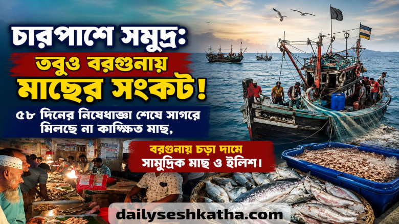 চারপাশে সমুদ্র: তবুও বরগুনায় মাছের সংকট!