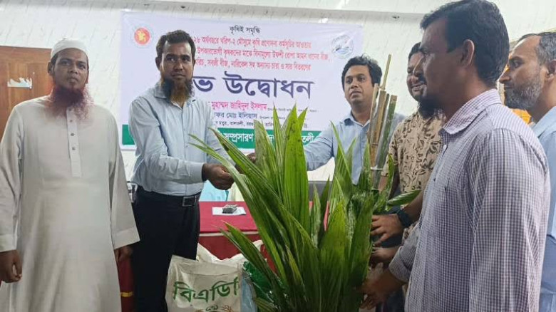 তালতলীতে ২ হাজার কৃষকের মাঝে সরকারি কৃষি প্রণোদনা বিতরণ