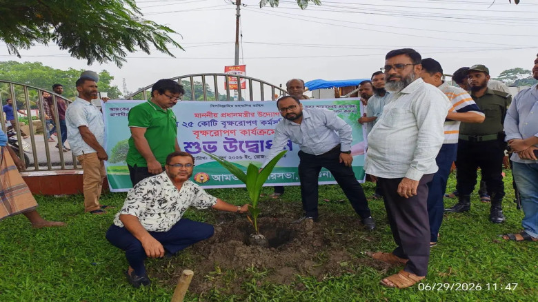 আমতলীতে বৃক্ষরোপণ কর্মসূচির উদ্বোধন, চারা ও কৃষি উপকরণ বিতরণ