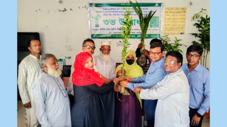 পাথরঘাটায় কৃষকদের মাঝে বিনামূল্যে বীজ, চারা ও সার বিতরণ