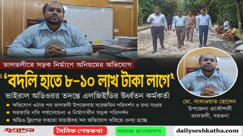 তালতলীতে ভাইরাল হওয়া উপজেলা প্রকৌশলীর অডিও-র তদন্তে এলজিইডি