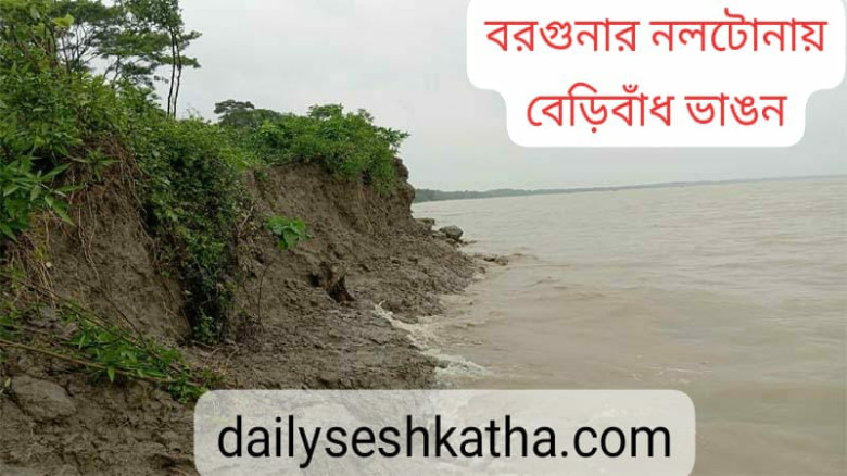 বরগুনার নলটোনায় বেড়িবাঁধ ভাঙনে প্লাবিত জনপদ: লবণাক্ত পানিত