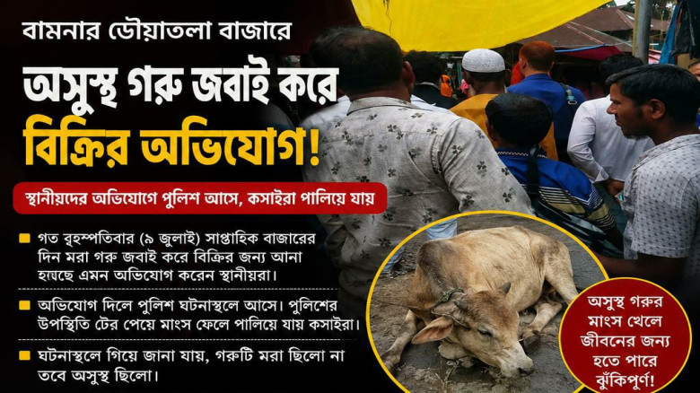 বামনায় অসুস্থ গরু জবাইয়ের অভিযোগ! মাংস ফেলে পালাল কসাই!