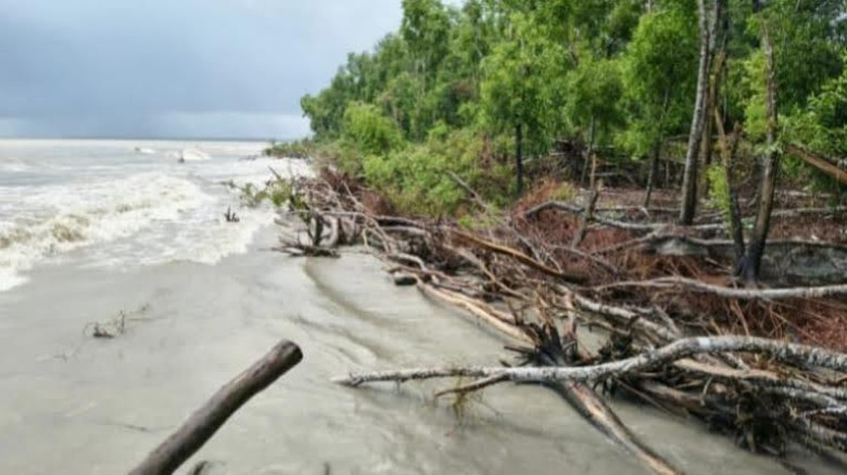 শুভ সন্ধ্যা সমুদ্র সৈকত ভাঙনের মুখে, শঙ্কায় ঐতিহ্যবাহী জোছনা