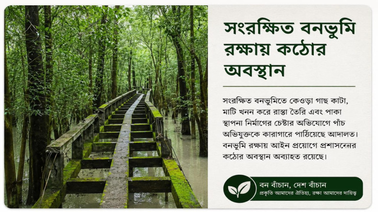 সংরক্ষিত বনভূমিতে গাছ কাটা ও স্থাপনা নির্মাণের চেষ্টার অভিযো