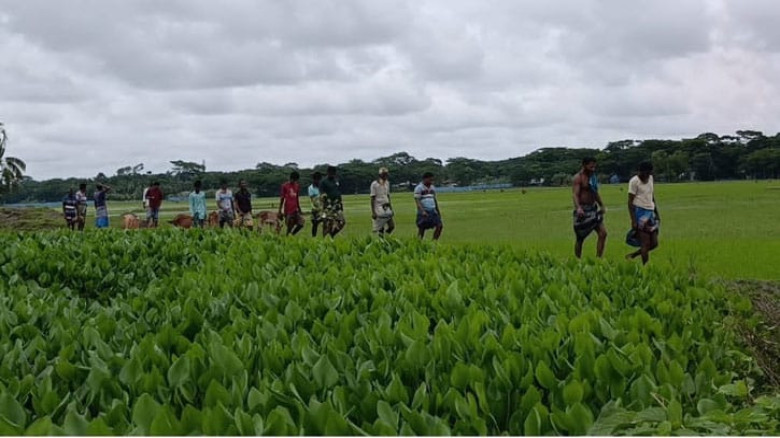 দখল-দূষণে অস্তিত্ব সংকটে তালতলীর আমখোলা খাল: জলাবদ্ধতায় ক্ষ
