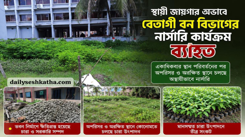 স্থায়ী জায়গার অভাবে বেতাগী বন বিভাগের নার্সারি কার্যক্রম ব্যাহত...