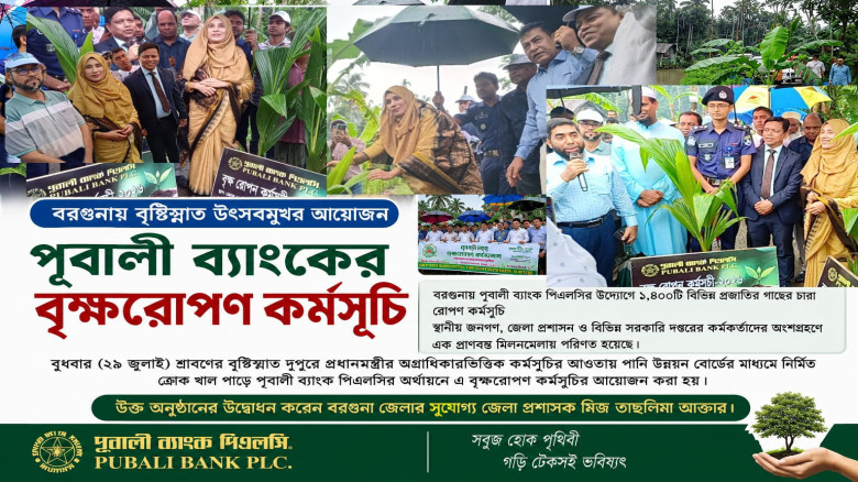 বরগুনায় বৃষ্টিস্নাত উৎসবমুখর আয়োজনে পূবালী ব্যাংকের বৃক্ষরোপ