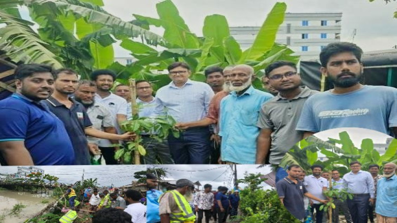 বরগুনায় ডেঙ্গু প্রতিরোধে খাল পাড়ে অবৈধ স্থাপনা উচ্ছেদ ও বৃক্ষরোপণ