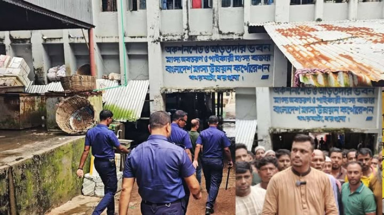 পাথরঘাটায় ট্রান্সপোর্ট কার্যালয় ও স্বেচ্ছাসেবক দল নেতার অফিসে ইয়াবা-গাঁজা,অস্ত্র!