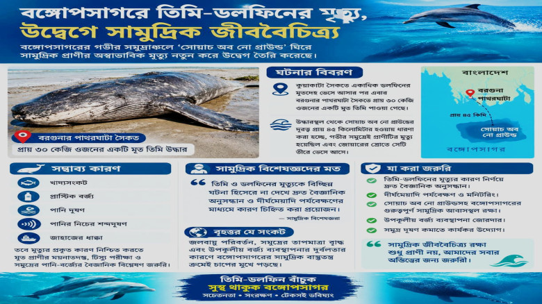 বঙ্গোপসাগরে তিমি-ডলফিনের মৃত্যু, উদ্বেগে সামুদ্রিক জীববৈচিত্র্য: