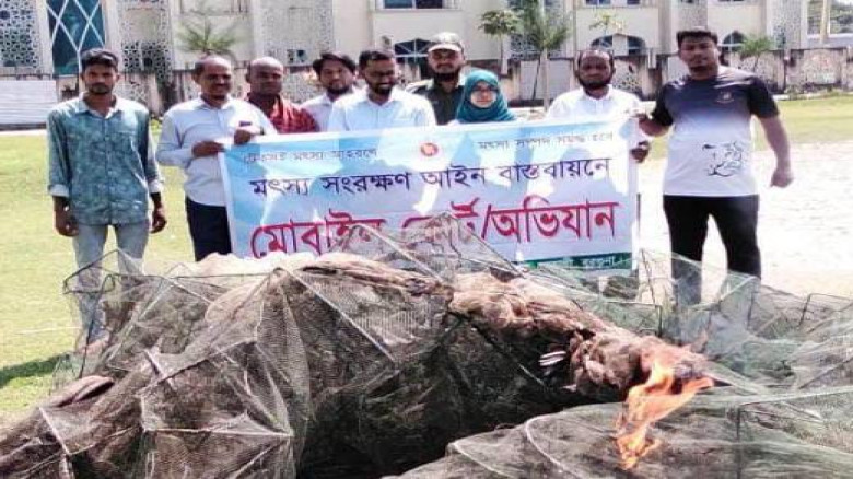 বেতাগীতে বিপুল পরিমাণ নিষিদ্ধ চায়না দুয়ারি জাল জব্দ ও ধ্বংস