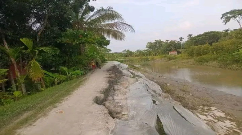 বরগুনায় পোটকাখালী আশ্রয়ণের বেড়িবাঁধে নির্মাণের ৬ মাসেই ফাটল!...