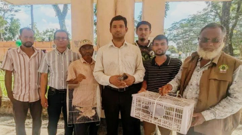 আমতলীতে খাঁচায় আটক ৭ পাখি উদ্ধার করে অবমুক্ত