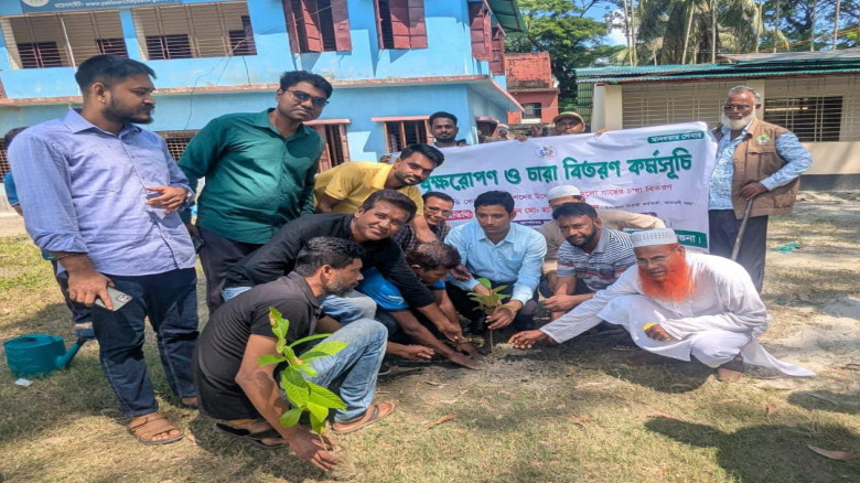 আমতলীতে বিডি কেয়ার ফাউন্ডেশনের বৃক্ষরোপণ ও চারা বিতরণ