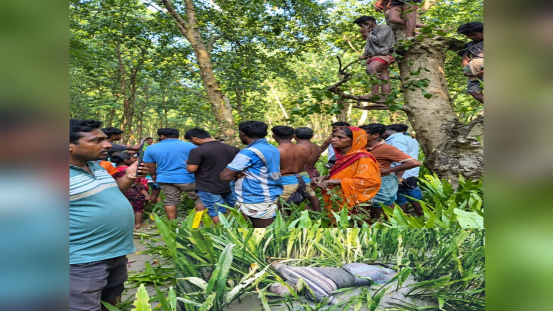 পাথরঘাটার বিষখালী নদীতে নিখোঁজ বৃদ্ধের ভাসমান লাশ উদ্ধার!