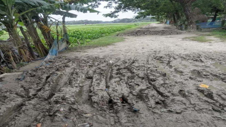 তালতলীর মঠখোলা-চরপাড়া সড়কের বেহাল দশায় বাড়ছে জনদুর্ভোগ!