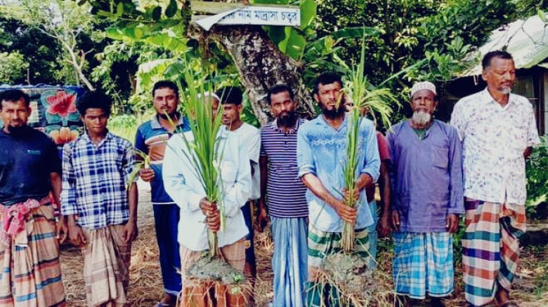 আমতলীতে ধানের বীজ কিনে প্রতারণা: ক্ষতিগ্রস্ত দুই শতাধিক কৃষক