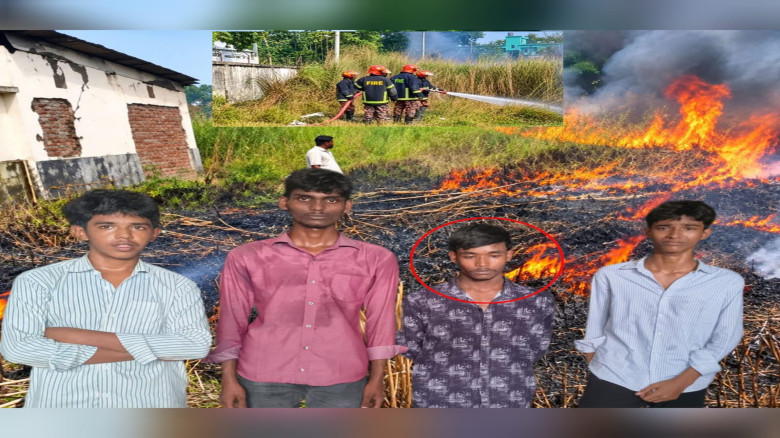 বরগুনা বিসিকের কাশফুল বনে হঠাৎ আগুন!