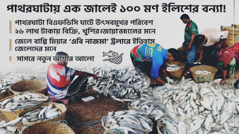 পাথরঘাটার জেলেদের জালে রুপালি ইলিশের বন্যা: এক জালেই ১০০মণ!