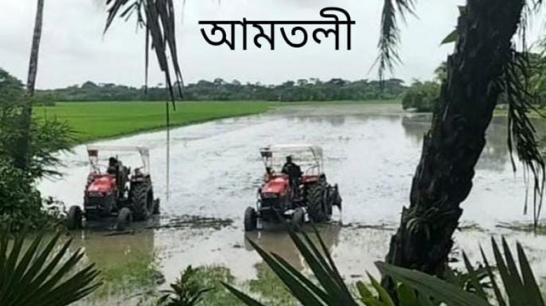 আমতলীতে আদালতের রায় অমান্য করে জমি চাষাবাদের অভিযোগ!