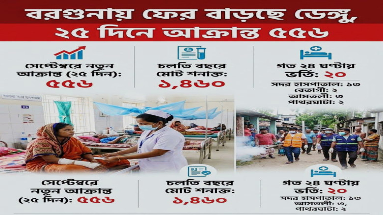 বরগুনায় ফের বাড়ছে ডেঙ্গু, ২৫ দিনে আক্রান্ত ৫৫৬...