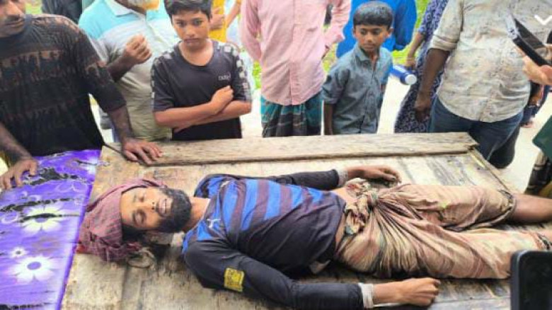 মঠবাড়িয়ায় গাছের ডাল কাটতে গিয়ে বামনার এক যুবকের মৃত্যু!