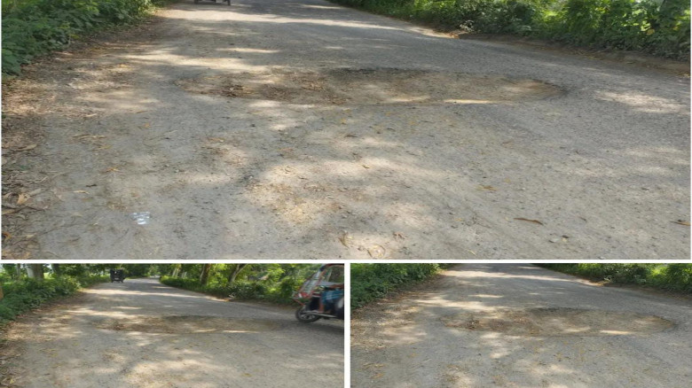 বামনা–আমুয়া সড়কের জরুরি মেরামতের দাবি এলাকাবাসীর...