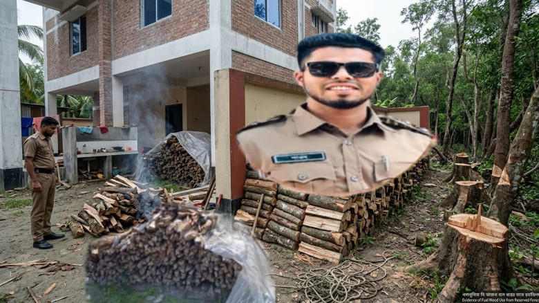 তালতলীতে সংরক্ষিত বনের গাছ কেটে জ্বালানি হিসেবে ব্যবহারের অভ