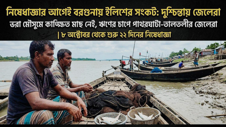 নিষেধাজ্ঞার আগেই বরগুনায় ইলিশের সংকট: দুশ্চিন্তায় জেলেরা...