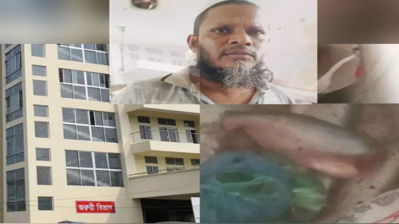 বরগুনা হাসপাতালে মাছ চুরির অভিযোগ বাবুর্চি আলমগীরের বিরুদ্ধে