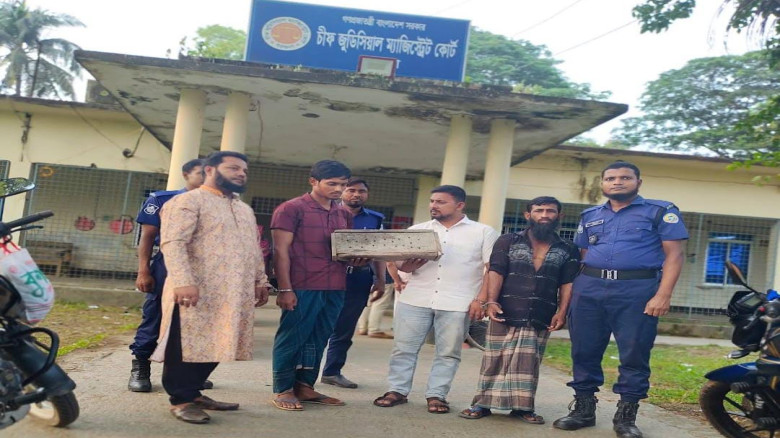 বরগুনায় তক্ষক পাচারচক্রের চার সদস্যের কারাদণ্ড: বনে অবমুক্ত