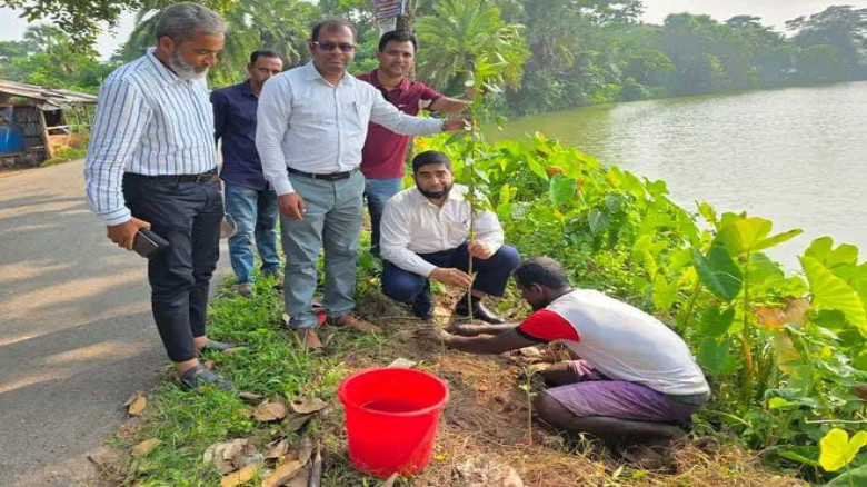 বরগুনা সদরে এলজিইডির বৃক্ষরোপণ কর্মসূচি পরিদর্শন ও বৃক্ষরোপণ...