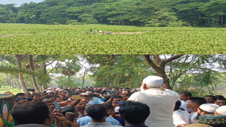 আমতলীতে নদীর কচুরিপানা অপসারণ বন্ধ, দুর্ভোগে লাখো মানুষ...