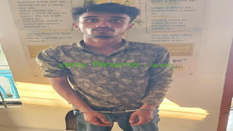 বরগুনায় ইয়াবা সেবনের দায়ে যুবকের ৩ মাসের কারাদণ্ড