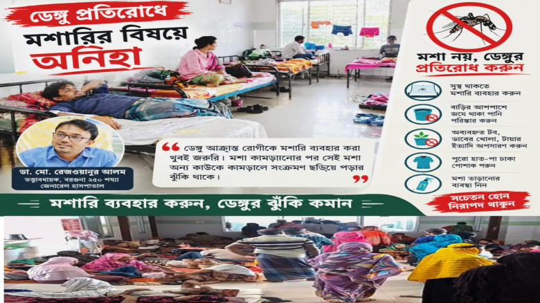 বরগুনায় ডেঙ্গুর প্রকোপ: মশারি ব্যবহারে অনীহা ও স্বাস্থ্য বিভ