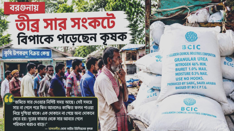 বরগুনায় তীব্র সার সংকট: বিপাকে পড়েছেন কৃষকেরা