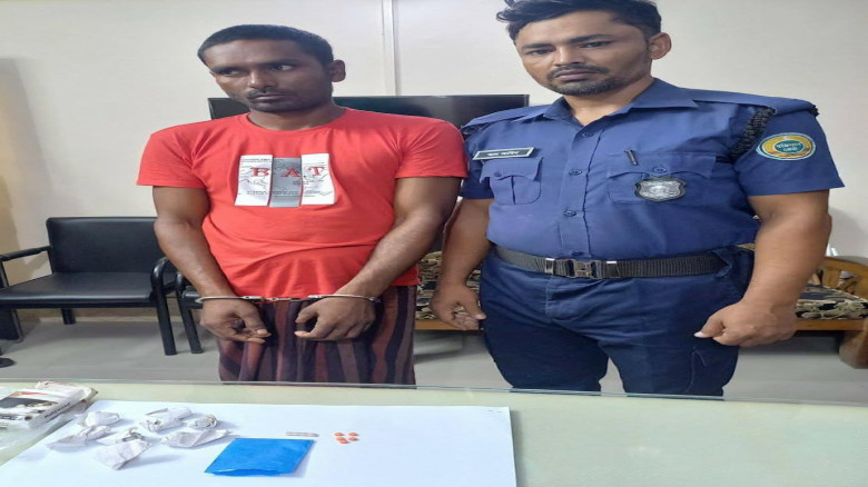 তালতলীতে মুরগির খামার থেকে ইয়াবা ও গাঁজা উদ্ধার: আটক ১