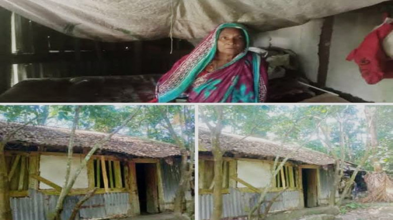 বেতাগীতে জরাজীর্ণ ঘরে মানবেতর জীবনযাপন করছেন বিধবা কাজল বেগম